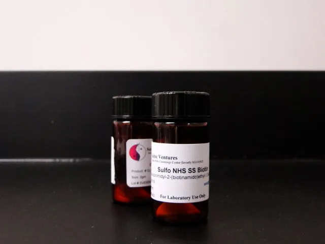 SULFO NHS SS BIOTIN